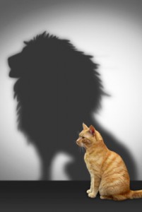 succession-planning-cat-lion-shadow_234x350