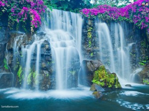 e1cd0fdeb7ded28a9e55611a43e08eb3--waterfall-wallpaper-beautiful-waterfalls